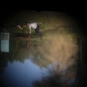 ZUR cabanobscura-31743